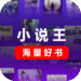 小说王-集合1000网站资源任意看.png