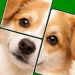 jigmerge-solitaire.png