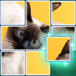 jigsolve-jigsaw-picture-puzzle.png