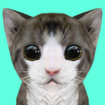 cat-simulator-online.png