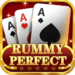 rummy-perfect.png