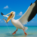the-pelican.png