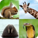 animal-quiz-guess-the-animal.png