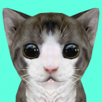 cat-simulator-online.png