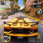 real-city-car-driving-3d.png