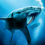 helicoprion-shark-dino-sim.png