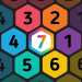 make7-hexa-puzzle.png